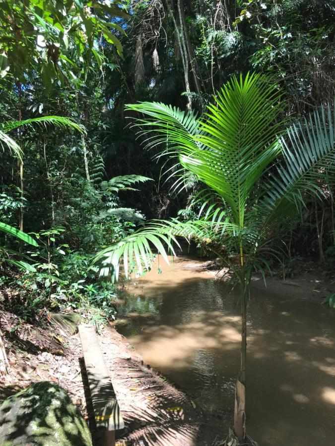 Reserva Dos Manacas Sao Pedro da Serra  Zewnętrze zdjęcie