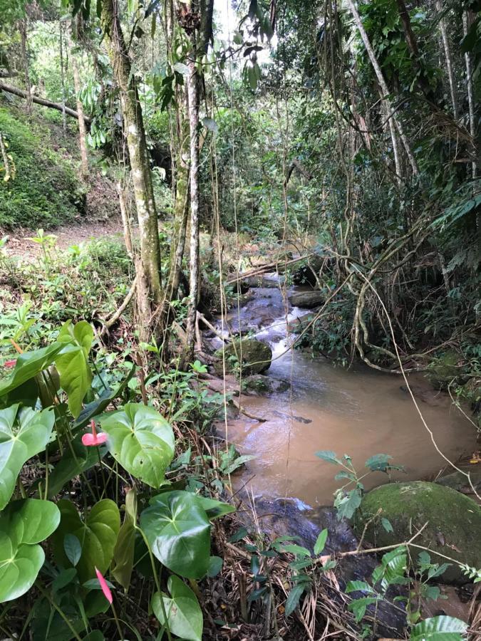 Reserva Dos Manacas Sao Pedro da Serra  Zewnętrze zdjęcie